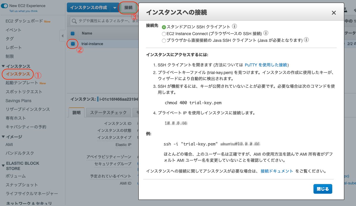 Aws Ec2でwebサーバの構築 Ec2インスタンス構築 Nginx Blog スワブロ スワローインキュベート